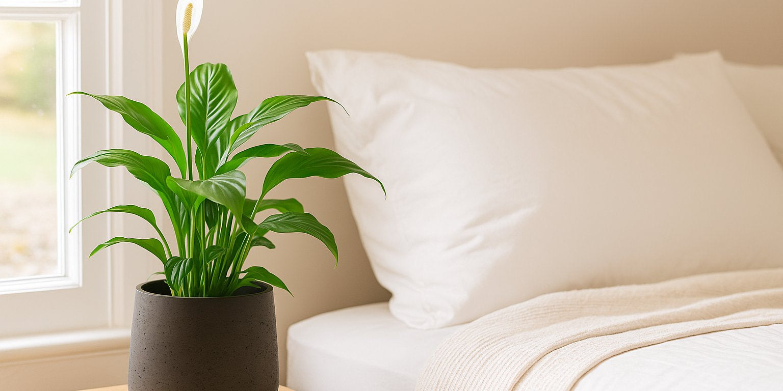 Einblatt im Schlafzimmer