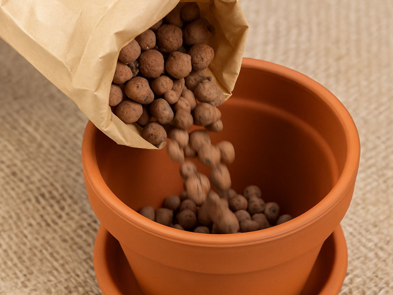 Blähton: Ein vielseitiges Substrat für Zimmerpflanzen