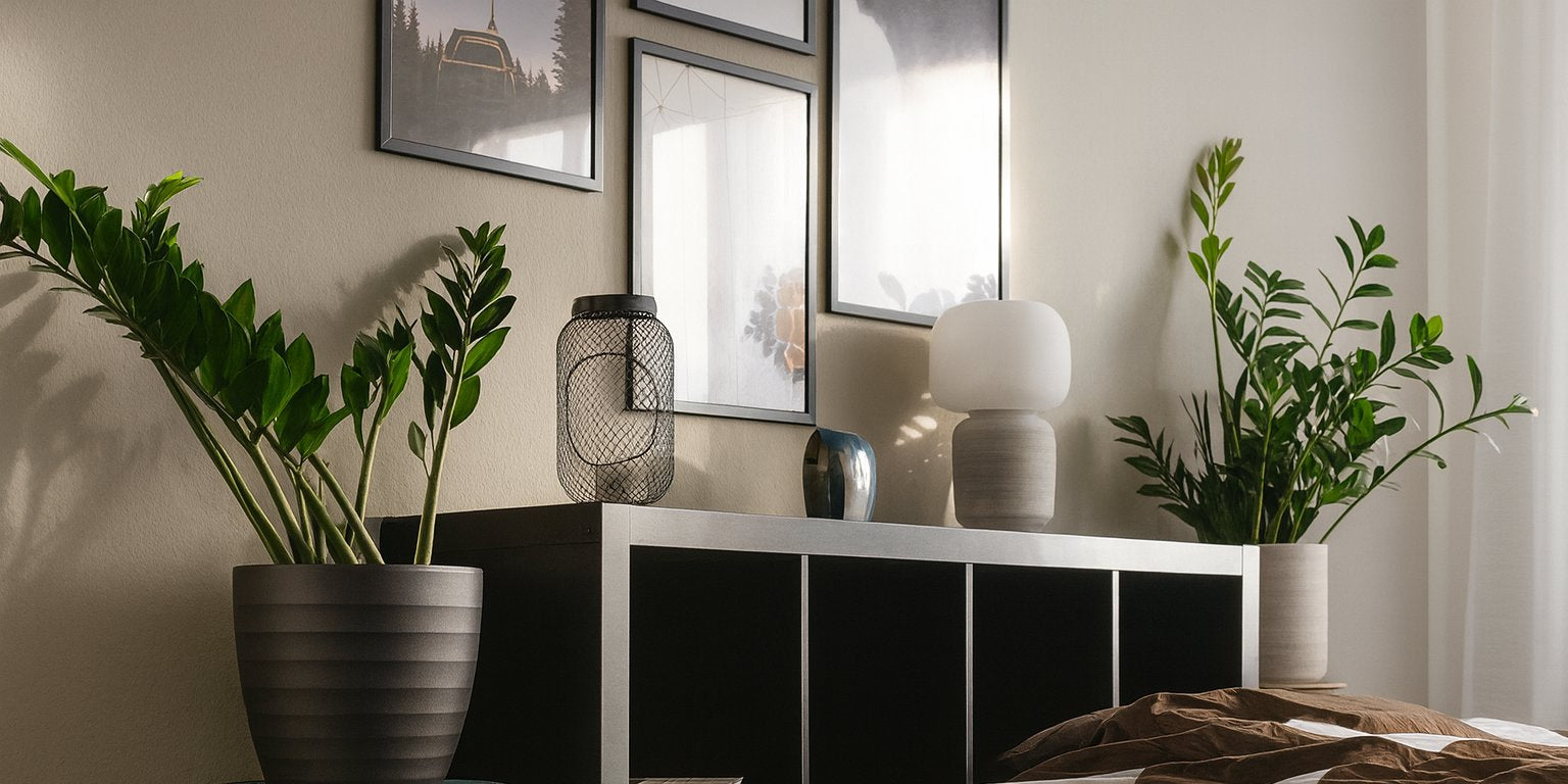 luftreinigende pflanzen in einem schlafzimmer