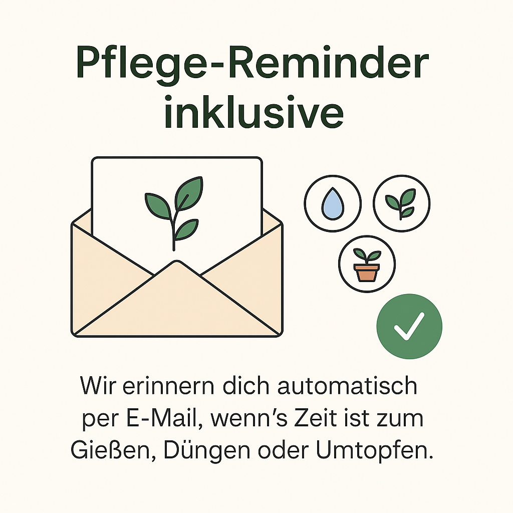 Aglaonema Silver Bay - 55cm