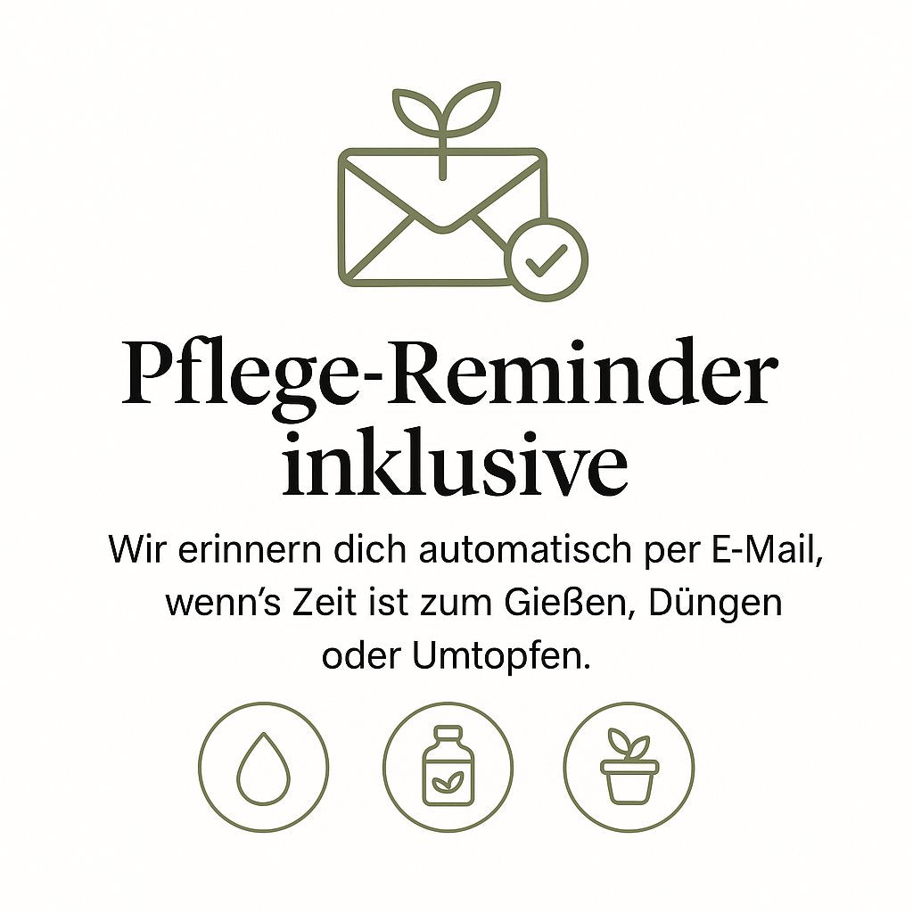 Babypflanzen-Überraschungsbox (6 Stück) - 5cm