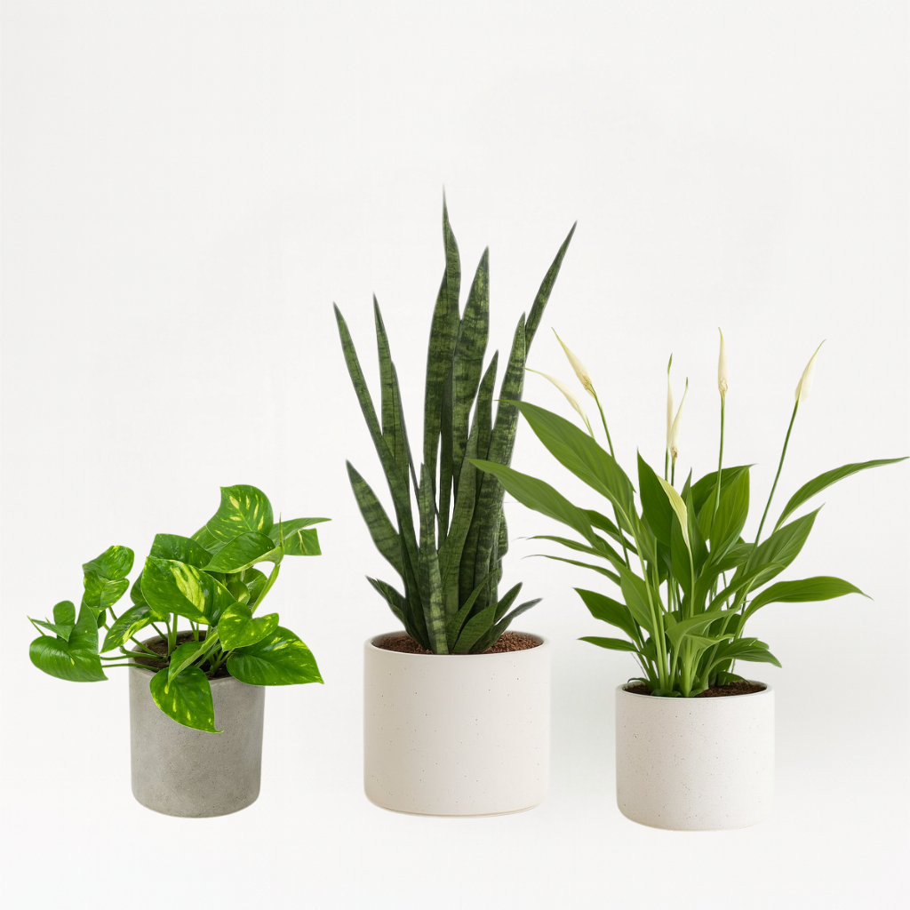 Schlafzimmer-Set (klein)