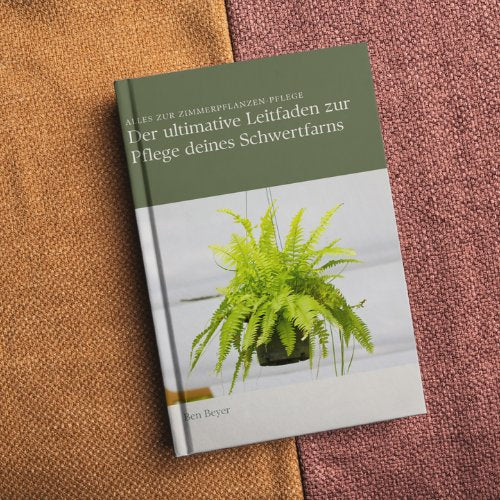 Nephrolepis Green Lady - 30cm