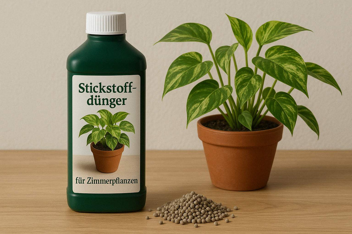 Stickstoffdnger: Der Turbo fr deine Zimmerpflanzen  Florage.de