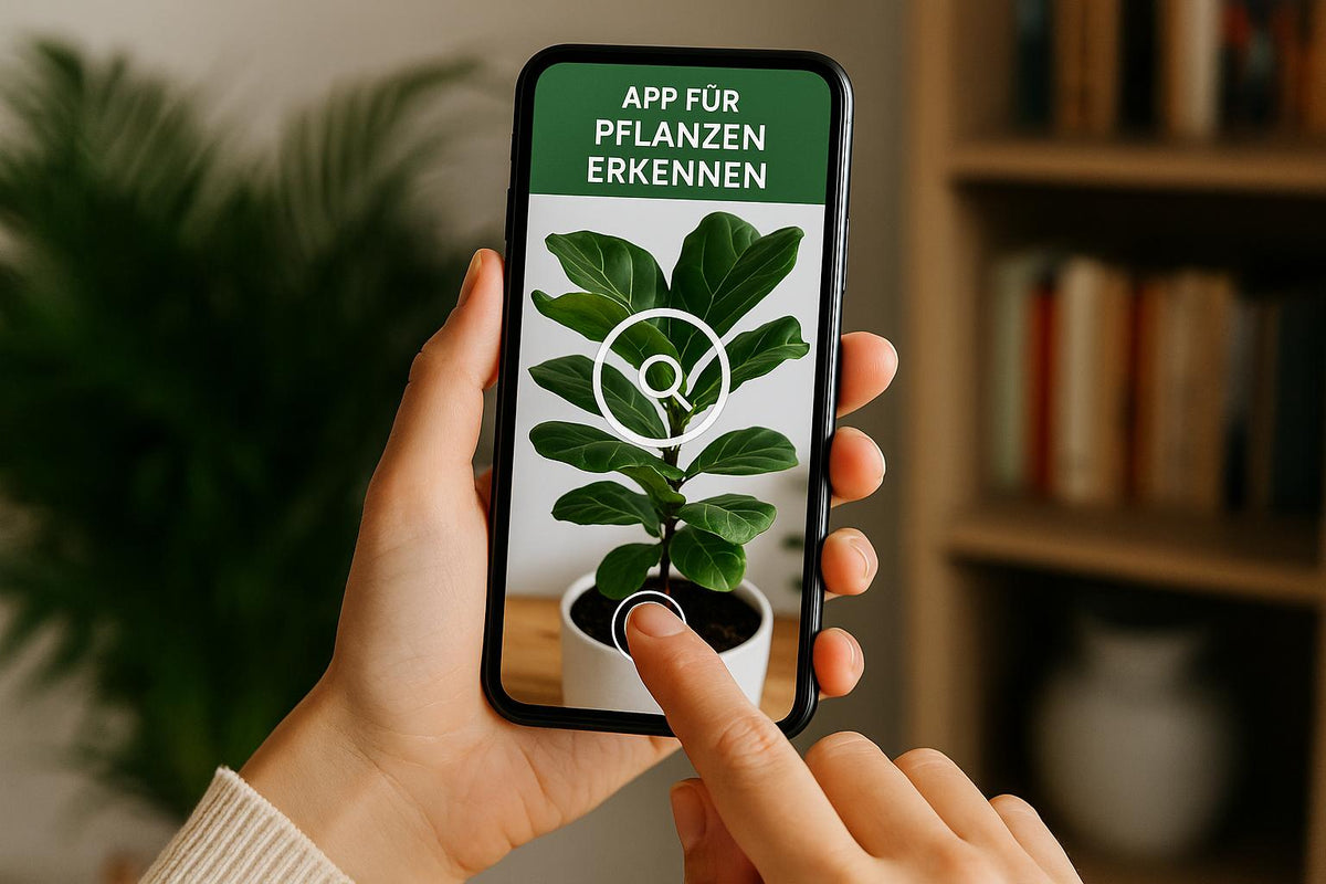 Die besten Apps fr Pflanzenbestimmung im Test - Florage  Florage.de