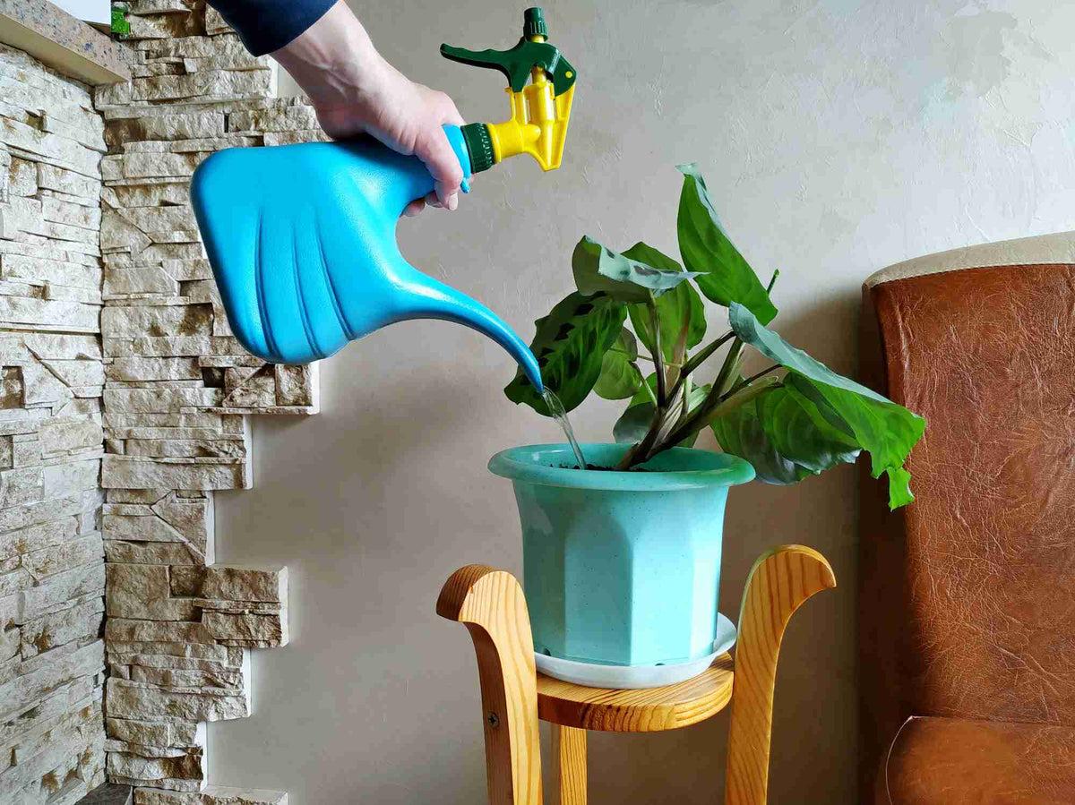 Destilliertes Wasser fr Pflanzen  Sinnvoll?  Florage.de