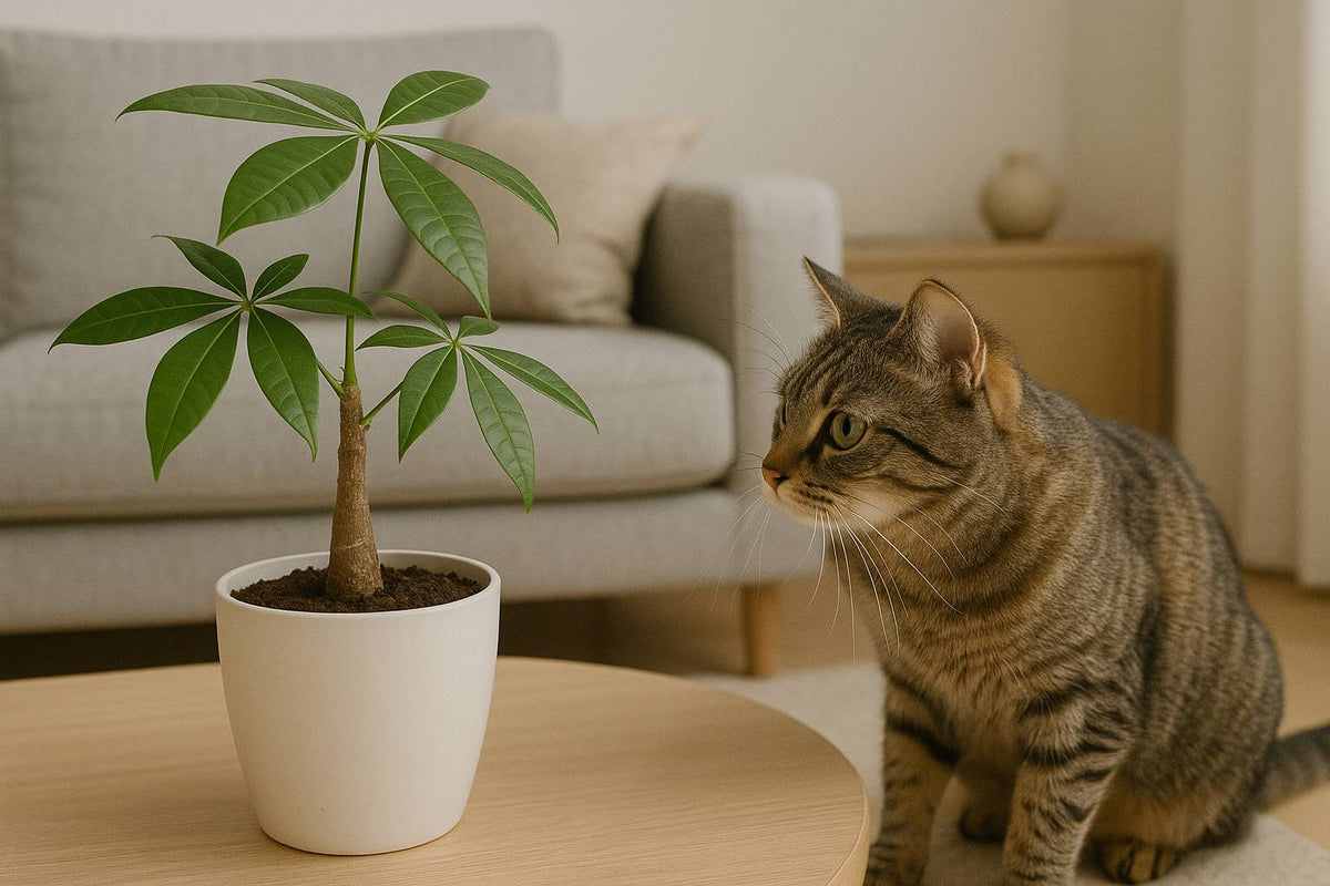 Ist die Glckskastanie giftig fr Katzen? - Florage  Florage.de