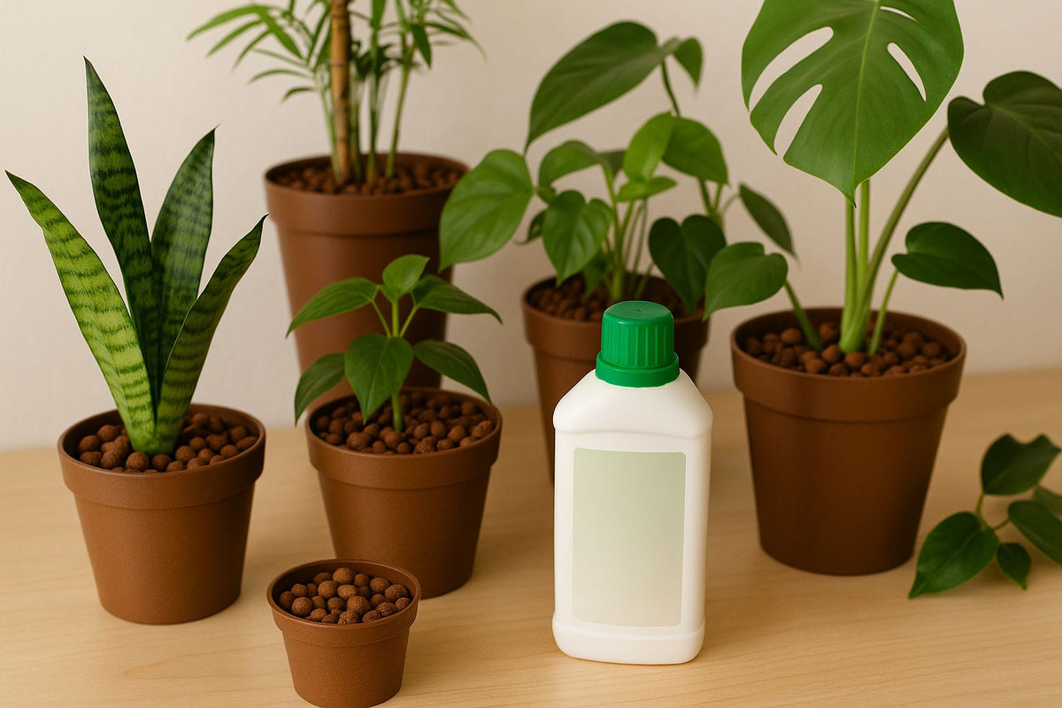Alles ber Hydrokultur-Dnger fr deine Zimmerpflanzen  Florage.de