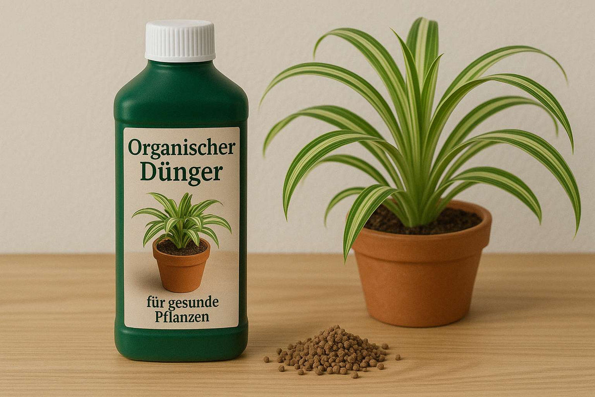 aloe vera gel bei mückenstichen Aloe Vera Gel - Pflegebalsam mit Aloe Vera Extrakt main image 0