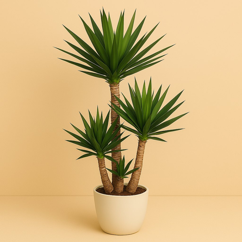 Yucca - 130cm