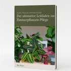 Strelitzia Nicolai - 85cm und Alocasia Macrorrhiza - 70cm