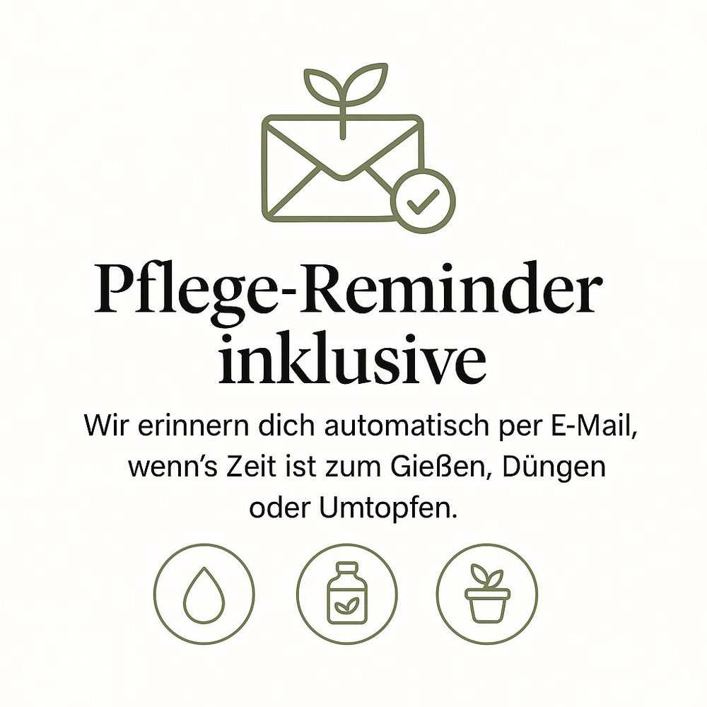 Florage Email-Reminder zum Gießen