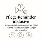 Florage Email-Reminder zum Gießen