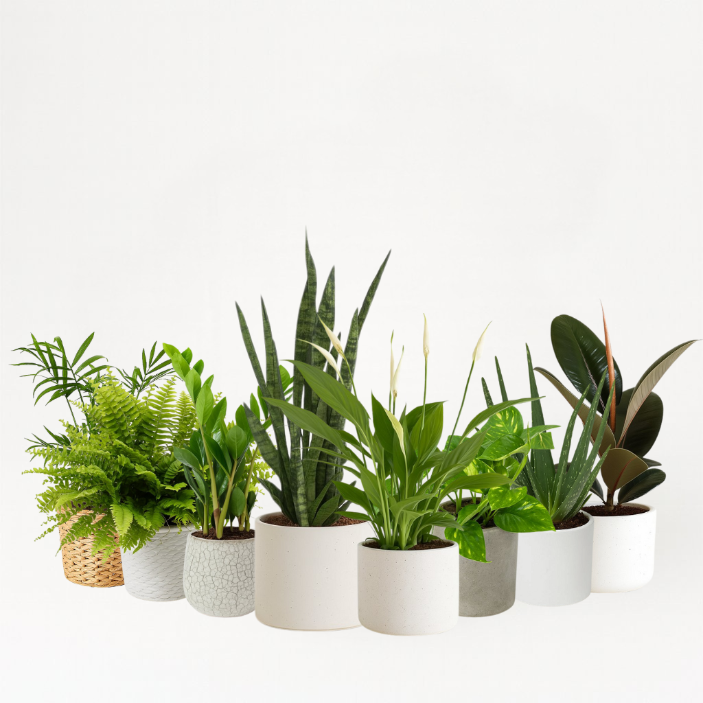 Schlafzimmer-Set (groß)