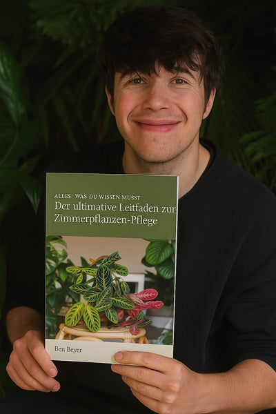 eBook Bild