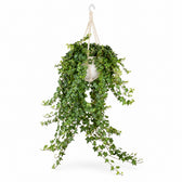 Hedera Helix Pittsburgh hängend (Ø24cm), Stylingbeispiel im Übertopf (Übertopf nicht enthalten)