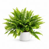 Nephrolepis Boston Green Moment - 20cm, Stylingbeispiel im Übertopf (Übertopf nicht enthalten)