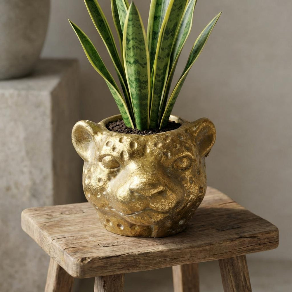 Übertopf Leopard Gold – Ø12cm