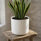 Elho B.for Soft Weiß – Ø14cm