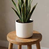 Elho B.for Soft Weiß – Ø18cm