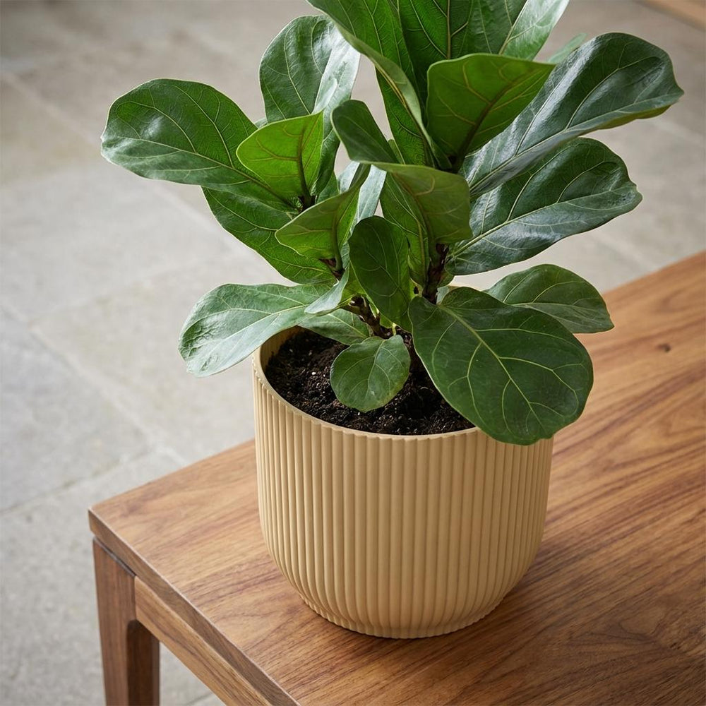 Elho Vibes Fold Gelb – Ø14cm