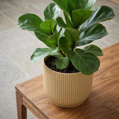 Elho Vibes Fold Gelb – Ø14cm