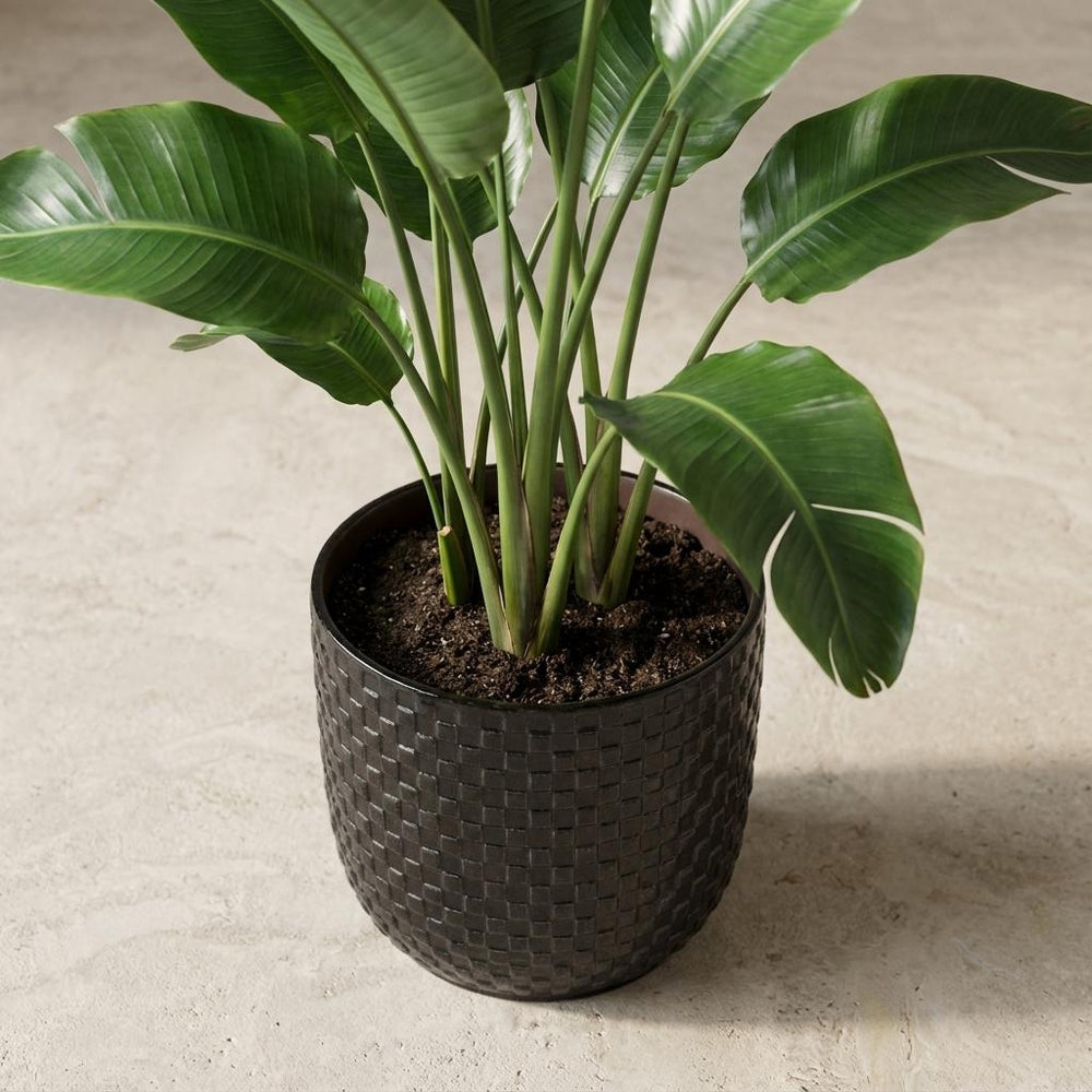 Topf Relief Schwarz – Ø13,5cm