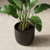 Topf Relief Schwarz – Ø13,5cm