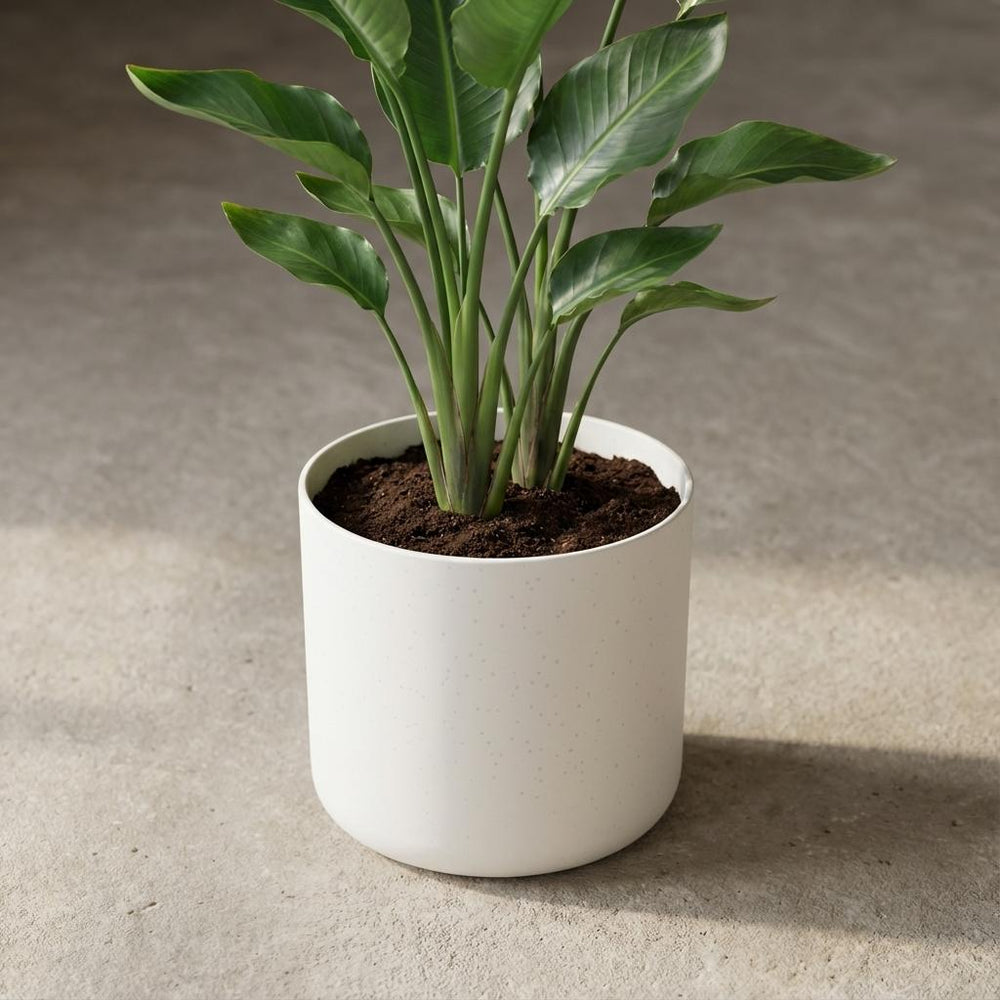 Elho B.for Soft Weiß – Ø18cm