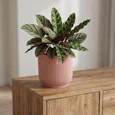Elho Vibes Fold Rosa – Ø14cm