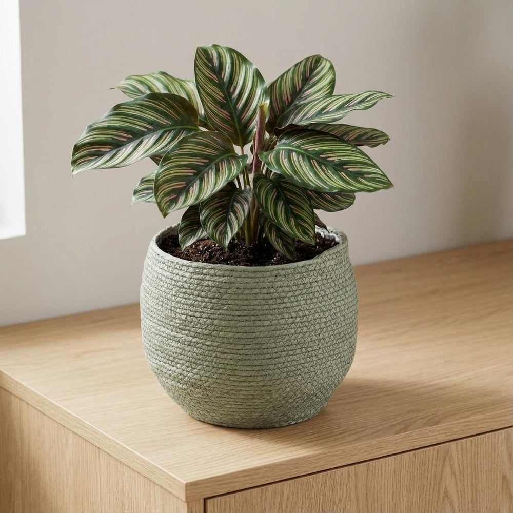 Korb Jorck Grün – Ø26cm