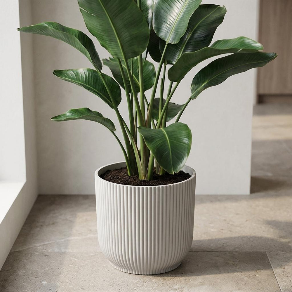 Elho Vibes Fold Weiß – Ø22cm