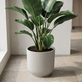 Elho Vibes Fold Weiß – Ø22cm