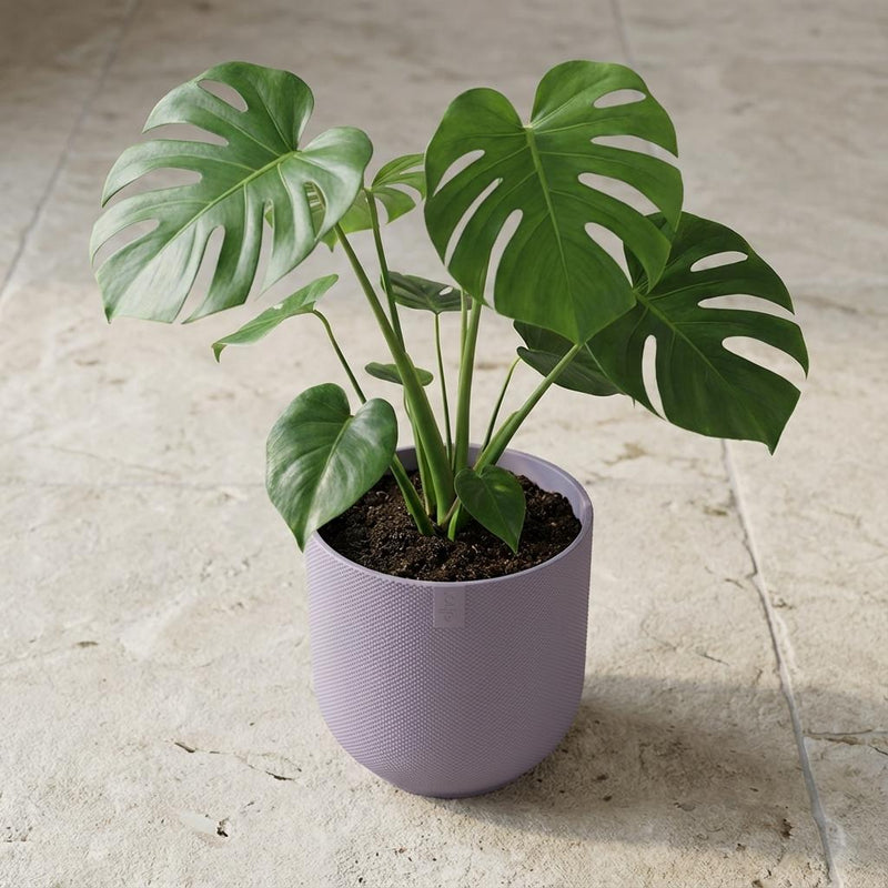Elho Jazz Lavendel – Ø19cm Detail