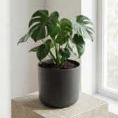 Elho B.for Soft Anthrazit – Ø14cm