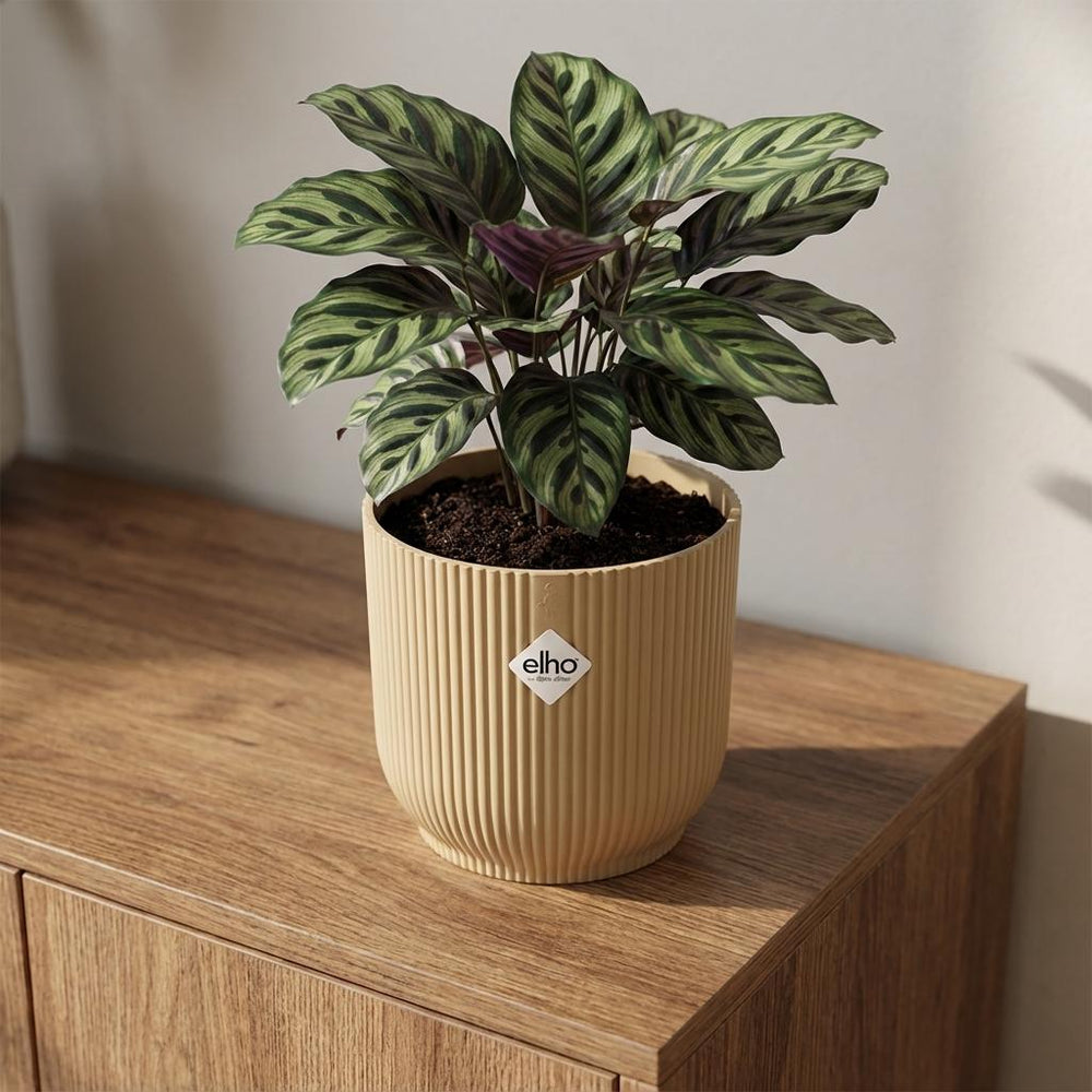 Elho Vibes Fold Gelb – Ø14cm