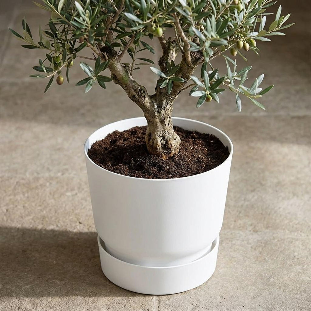 Elho Greenville Weiß – Ø30cm