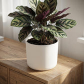 Elho B.for Soft Weiß – Ø22cm