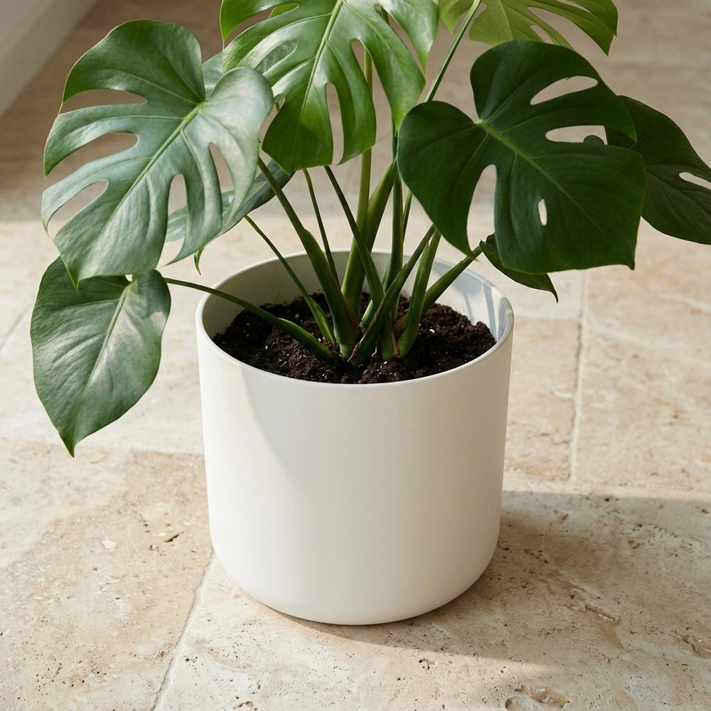 Elho B.for Soft Weiß – Ø18cm