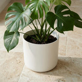 Elho B.for Soft Weiß – Ø18cm