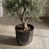 Mayk Bleigrau – Ø22,5cm