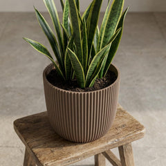 Nature Groove Warm Taupe – Ø22cm