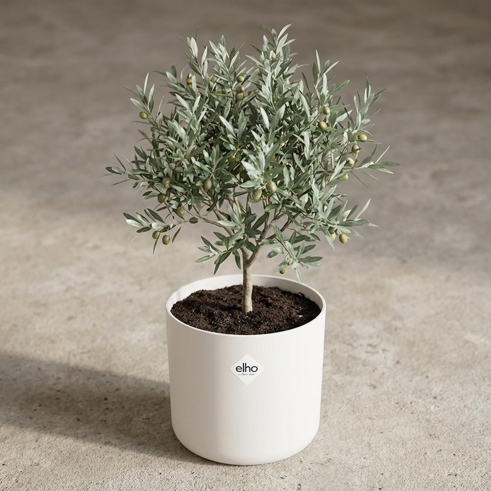 Elho B.for Soft Weiß Rund – Ø25cm