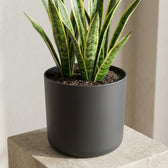 Elho B.for Soft Anthrazit – Ø22cm
