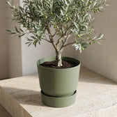 Elho Greenville Grün – Ø30cm