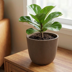 Nature Groove Warm Taupe – Ø17cm