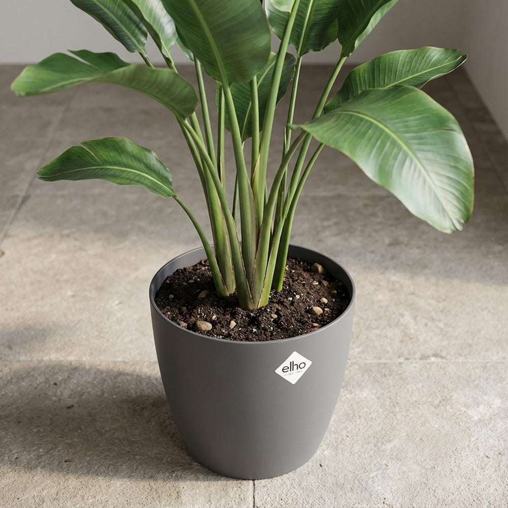 Elho Brussels Anthrazit – Ø30cm