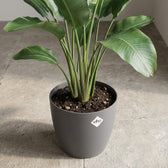 Elho Brussels Anthrazit – Ø30cm
