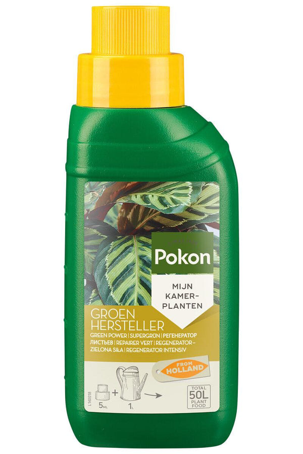 Grünpflanzen-Vitalkur 250 ml