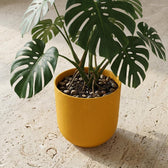 Elho Jazz Bernsteingelb – Ø23cm